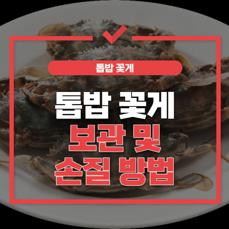 톱밥-꽃게-손질-및-보관-썸네일