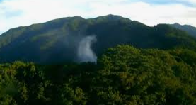 치악산 국립공원 실시간 cctv