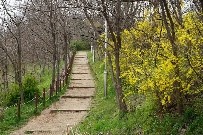 예단포둘레길 가는길