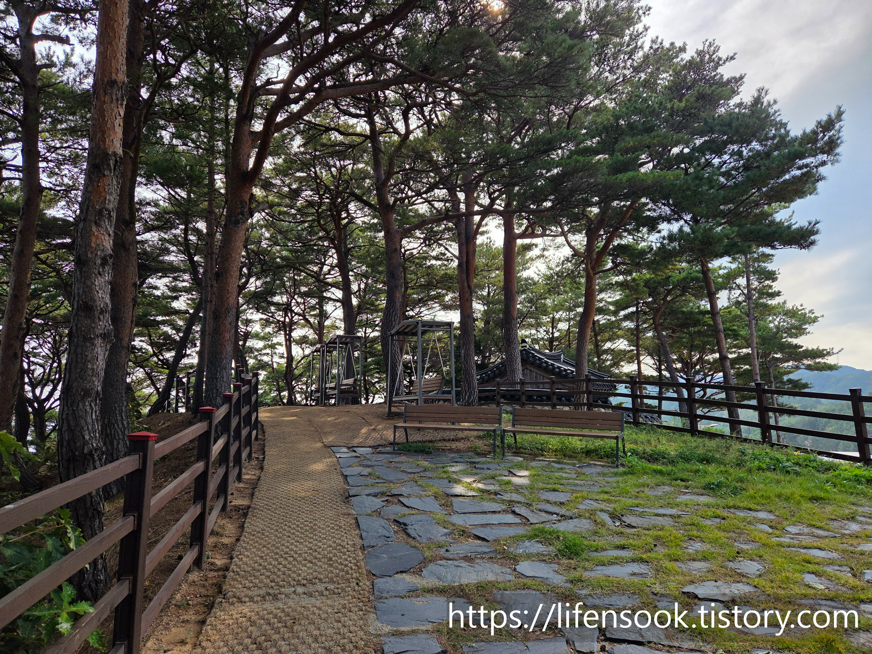삼척해상케이블카 장호역 산책로 2