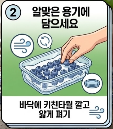 블루베리 세척법