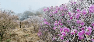 덕유산 국립공원 야영장 예약