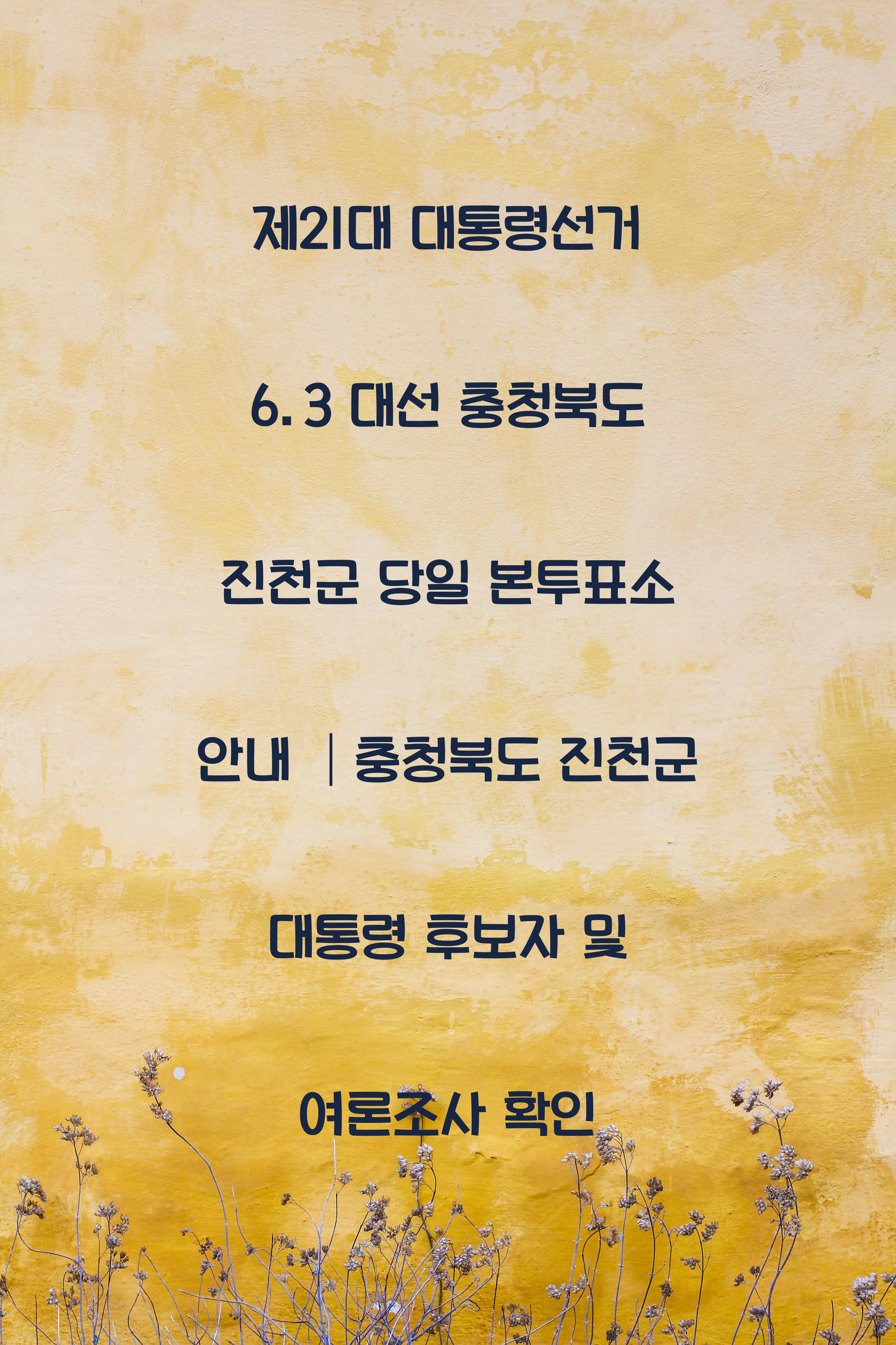 제21대 대통령선거 6.3 대선 충청북도 진천군 당일 본투표소 안내 │충청북도 진천군 대통령 후보자 및 여론조사 확인
