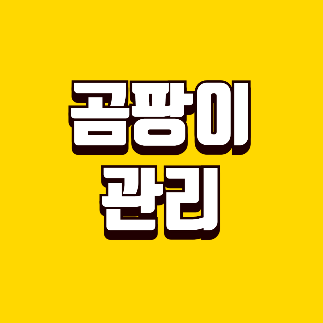 집에서 곰팡이 생기는 원인, 곰팡이 재발 막는 생활 관리 방법