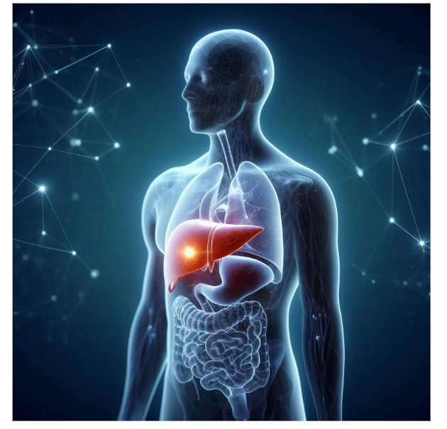 혈액검사 연령별 간수치 AST/ALT 정상수치 및 관리방법