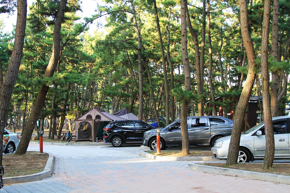 충청남도 태안군 몽산포 자동차야영장