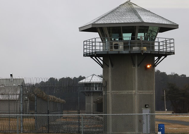 금고형 벌금형 징역형