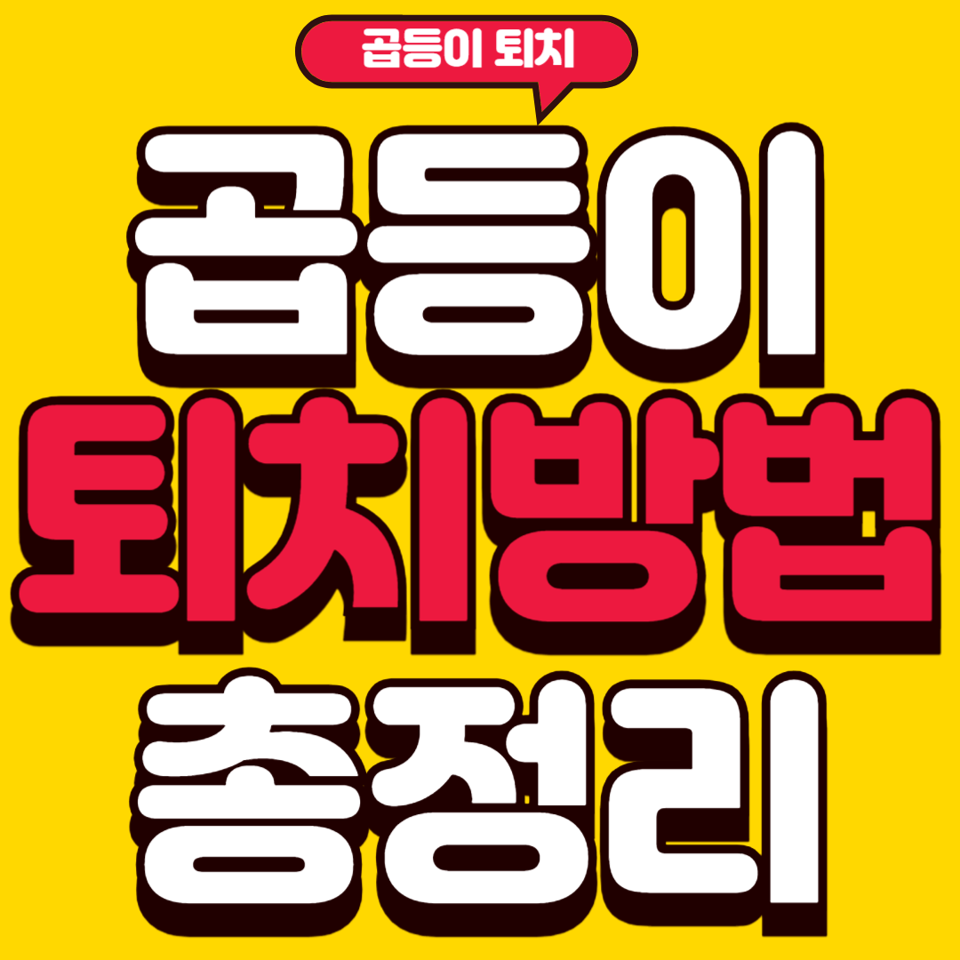 곱등이