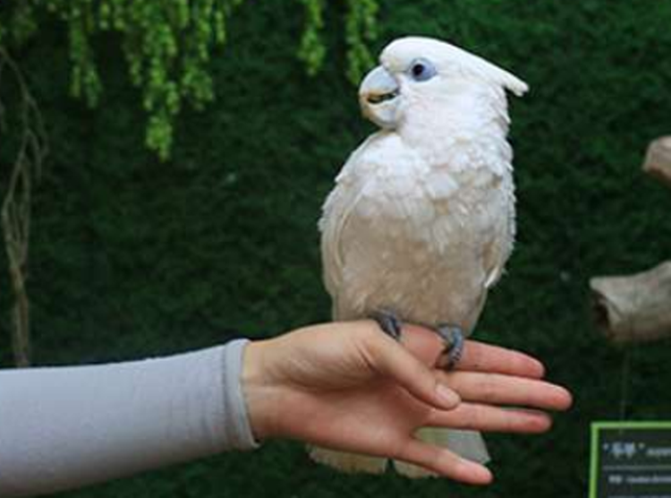 대구 네이처파크