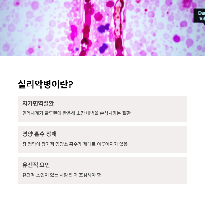 실리악병이란 무엇인가요?