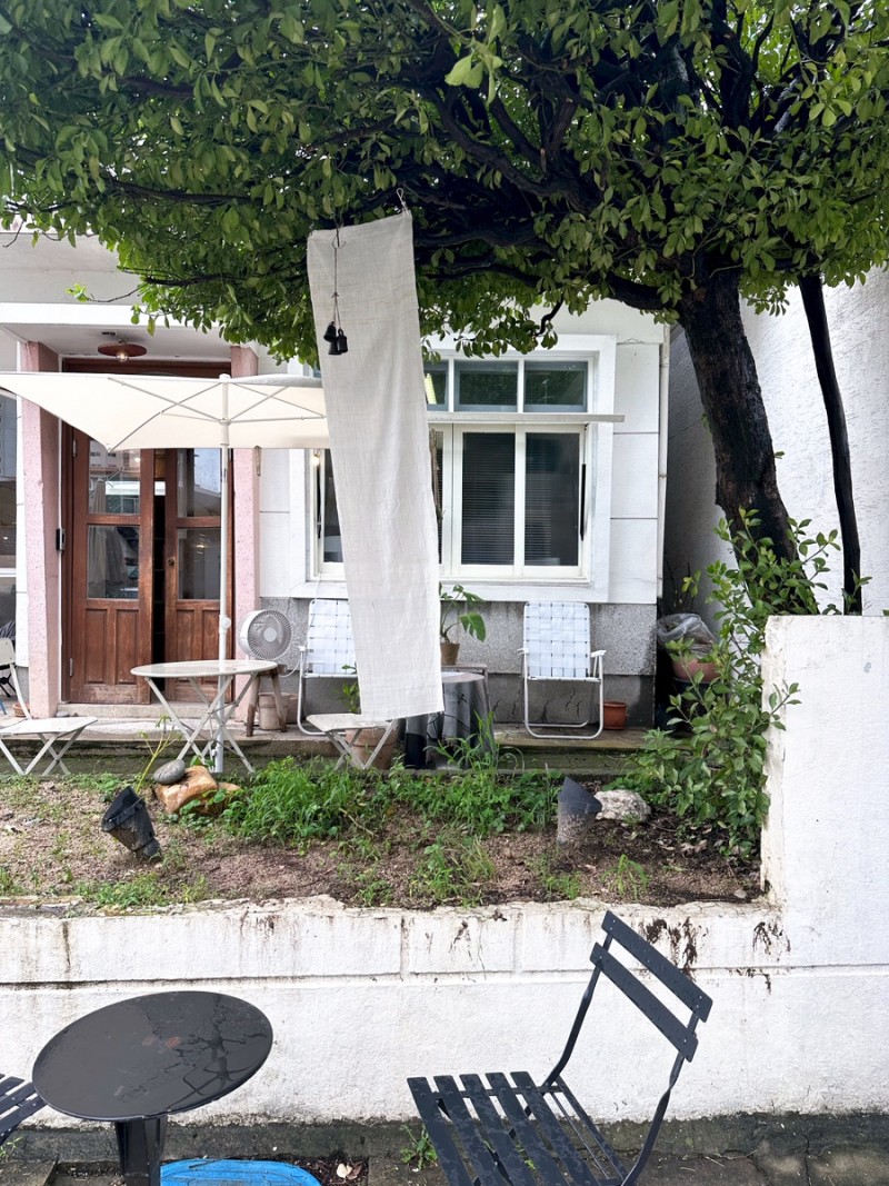 애견 카페 크고 괜찮은 곳18