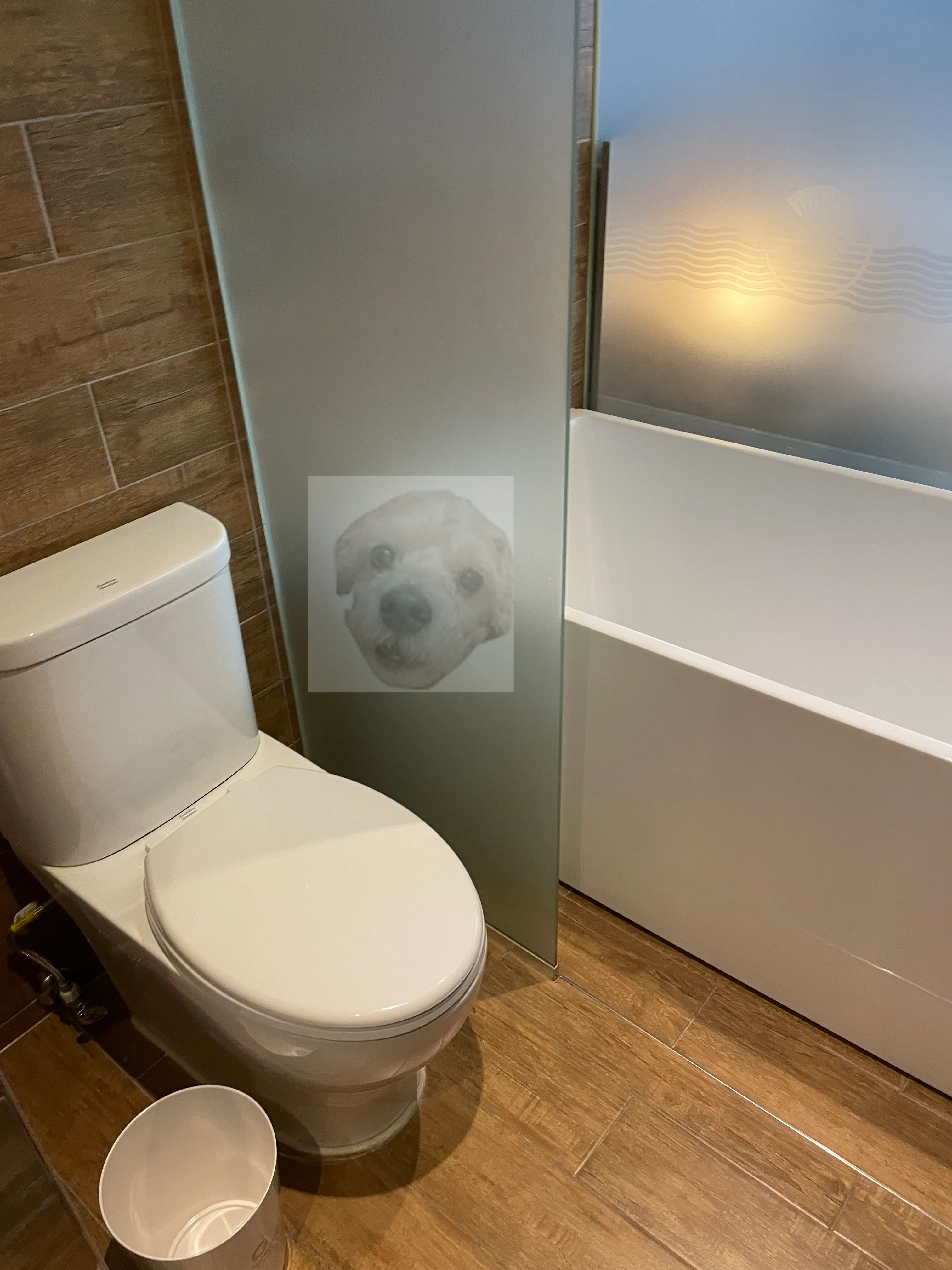 강릉시티호텔 화장실 컨디션 사진