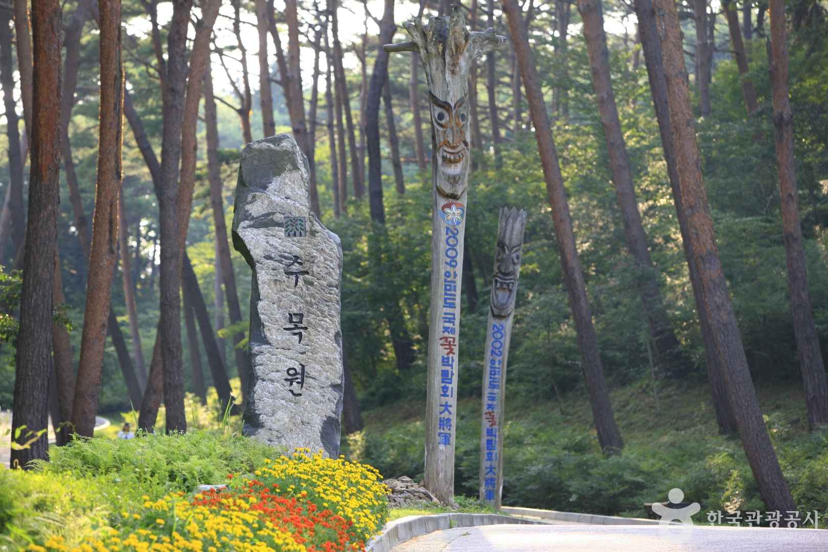 안면도 자연휴양림