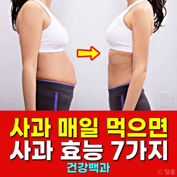 사과 매일 먹으면 사과 효능 부작용