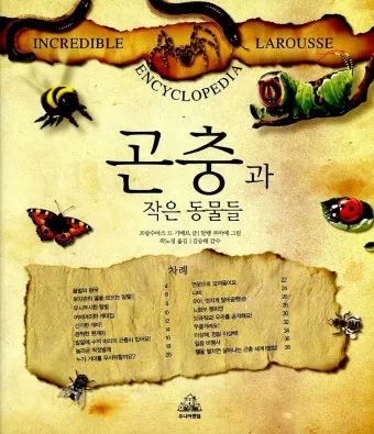 곤충과 동물의 차이점 생물 분류 기준과 이해 돕기_6