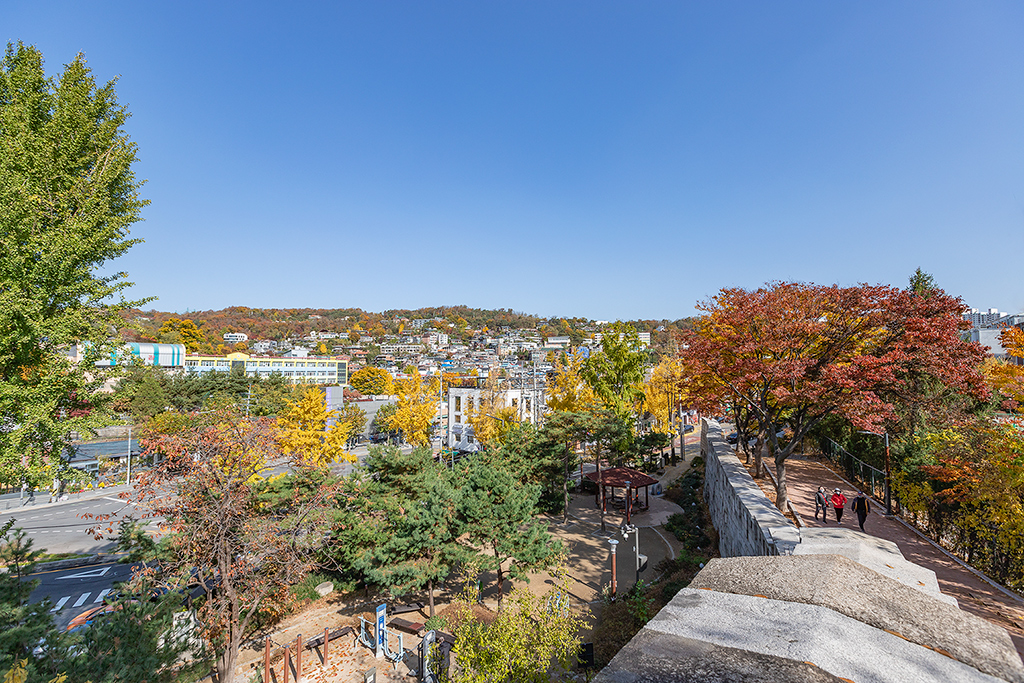 혜화문
성북동
한양도성길
백악구간
서울여행
서울단풍
가을단풍
단풍