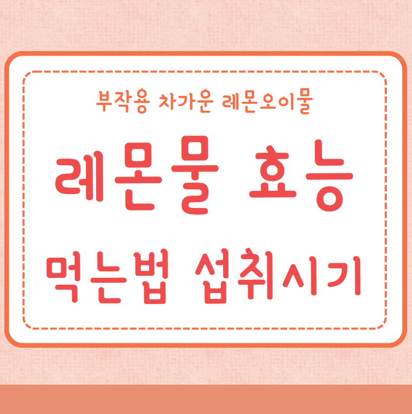 레몬물 효능 만드는법