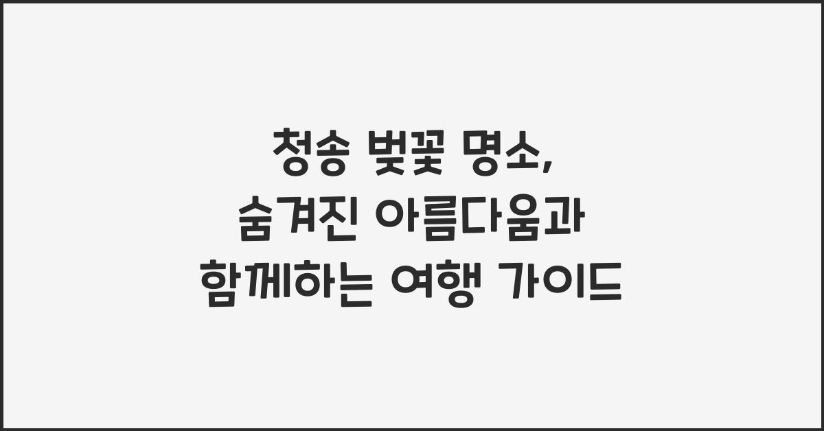 청송 벚꽃 명소