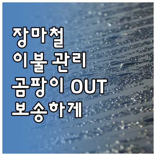 장마철 이불 보관 SOS: 곰팡이, ..