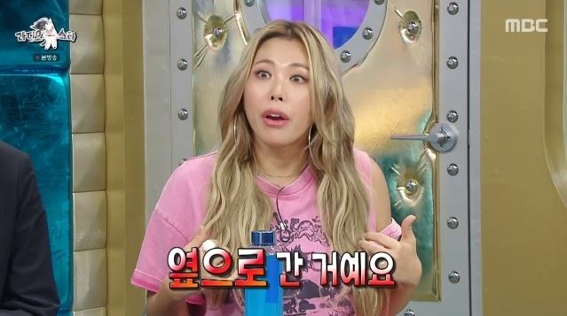 가비라디오스타