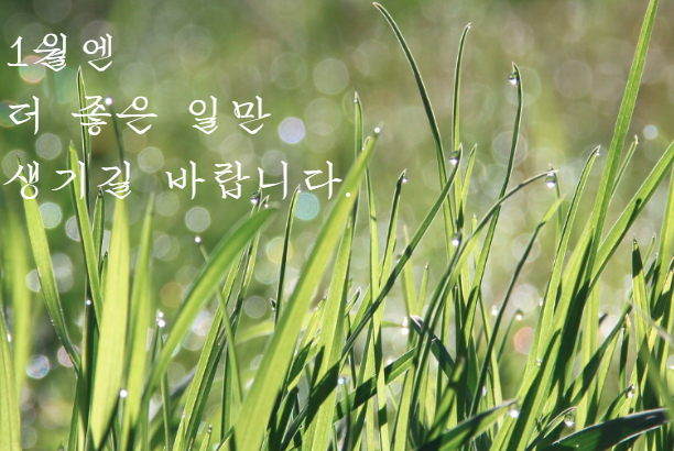 1월 인사말 모음집 카톡&middot;문자&middot;메일용 짧은 인사말 정리