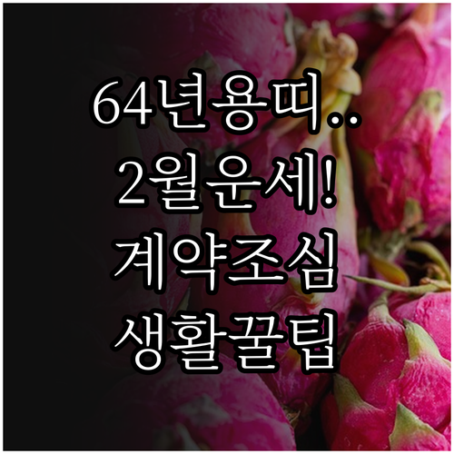 1964년생 용띠 2월 운세 전망 문..