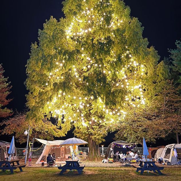 더플레이그라운드