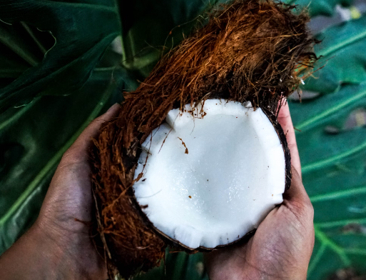 코코넛 가루 효능