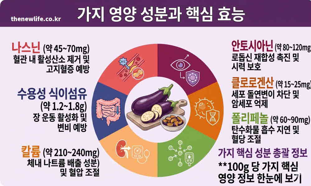 가지 효능 영양성분