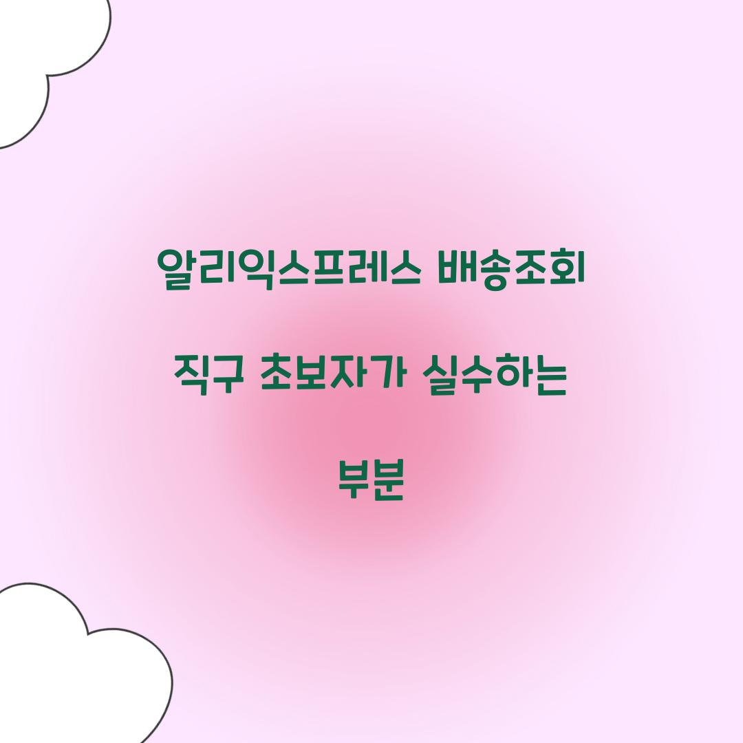 알리익스프레스 배송조회 직구 초보자가 실수하는 부분 