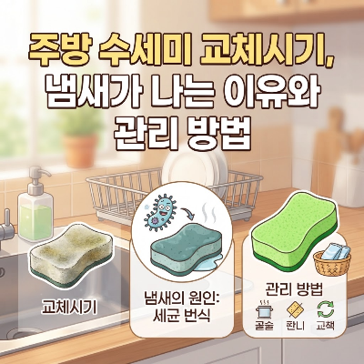 주방 수세미 교체시기, 냄새가 나는 이유와 관리 방법