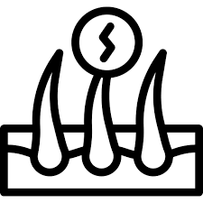 피부발진의 종류