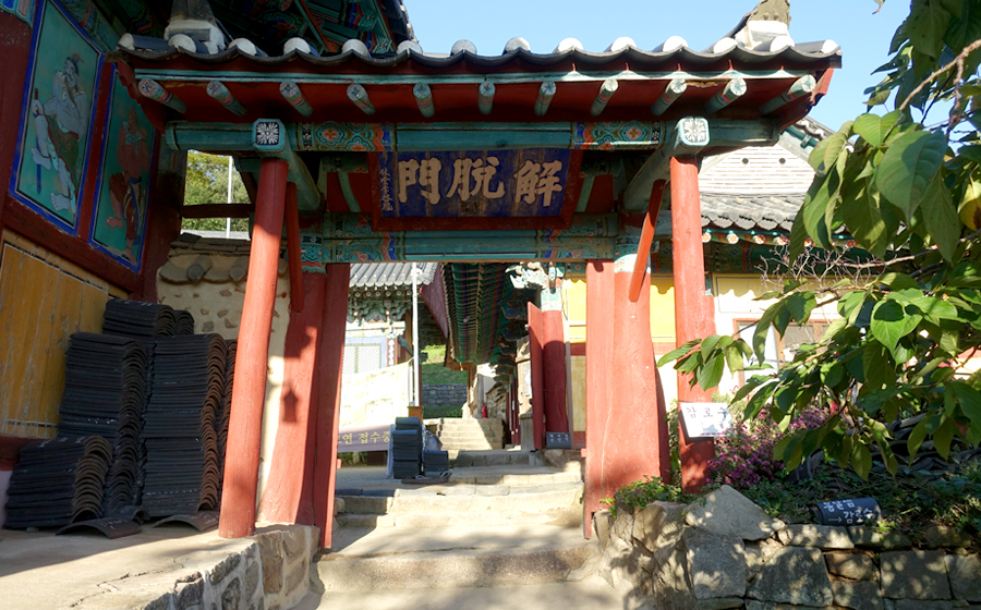 서산 개심사 겹벚꽃