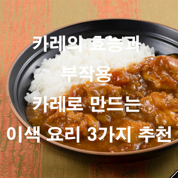 카레의 효능과 부작용 카레로 만드는 이색 요리 3가지 추천