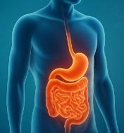 소화잘되는 음식