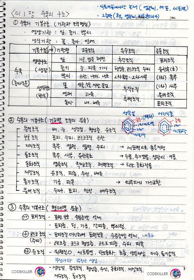 수목의 기본구조(기관과 조직명칭, 기능별 조직의 분류, 형태별 분류)