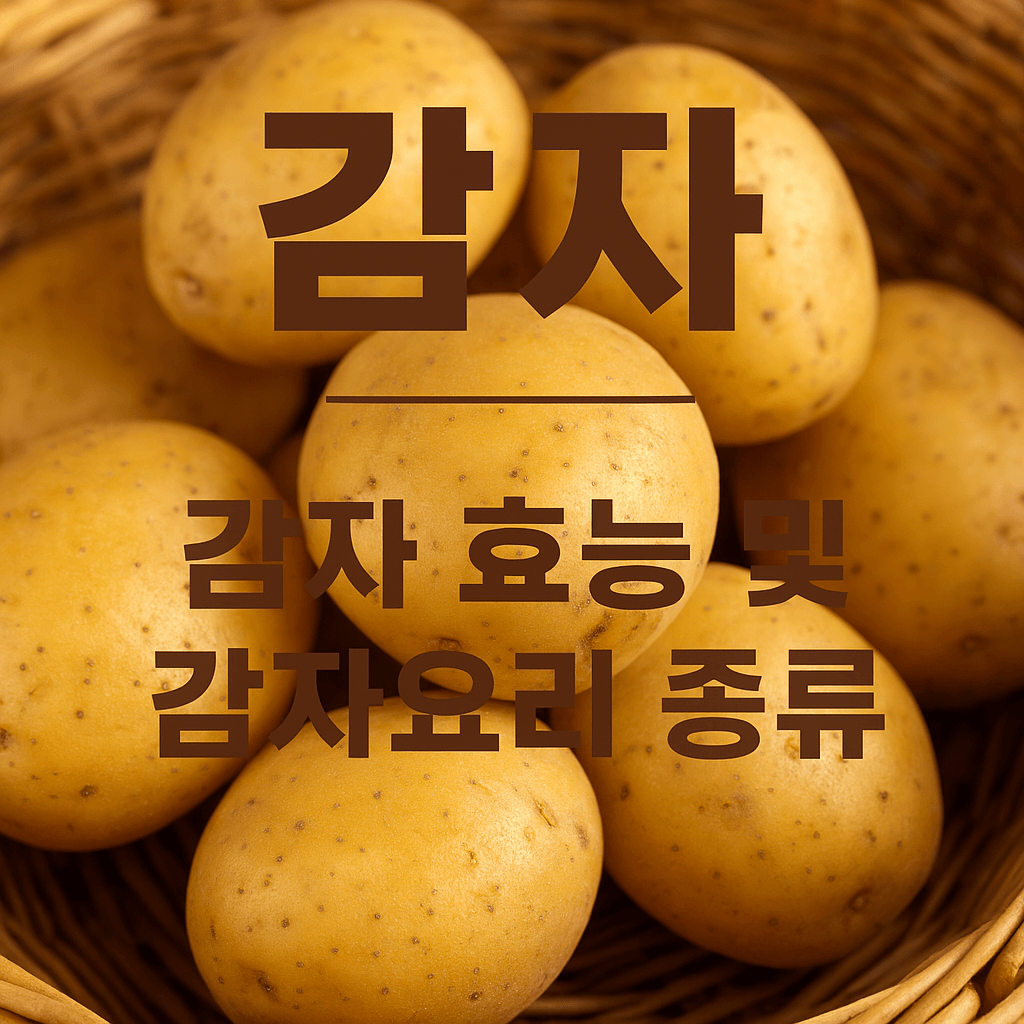 감자효능 및 감자보관법