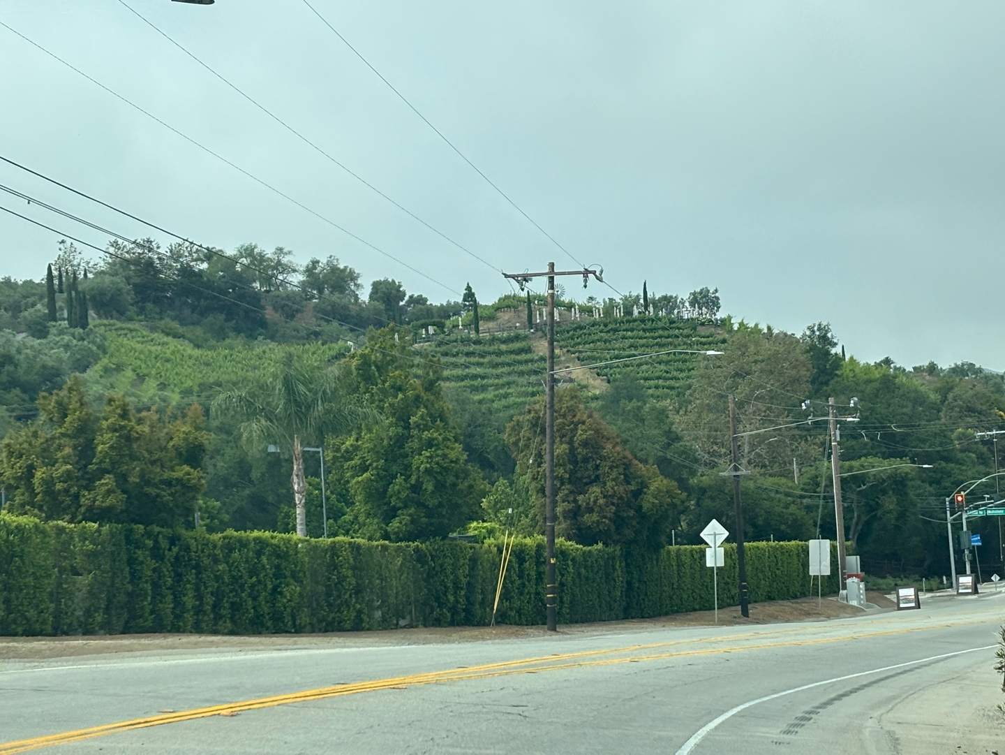 산위로 보이는 와이너리 이미지