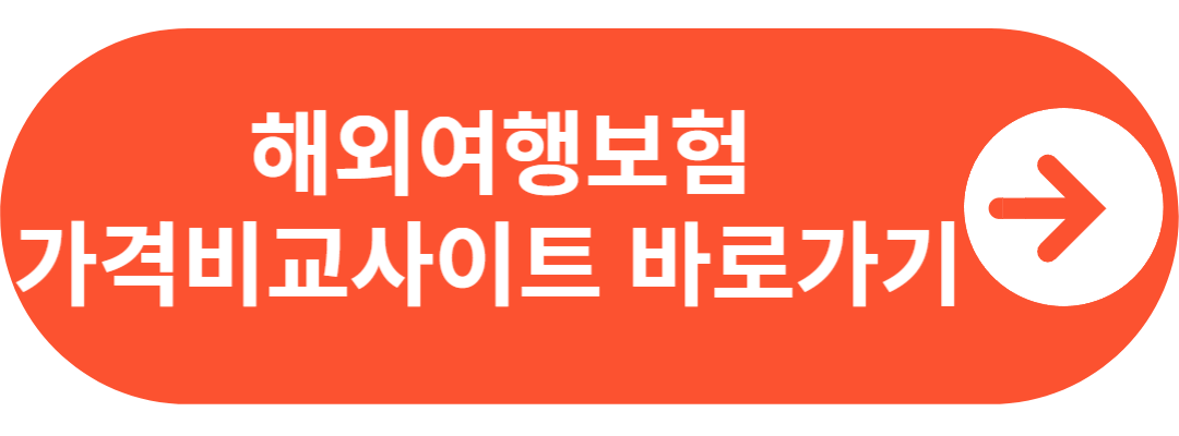 해외여행보험 가격비교
