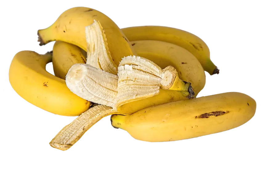 장 건강 식단