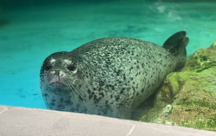 울진 아쿠아리움