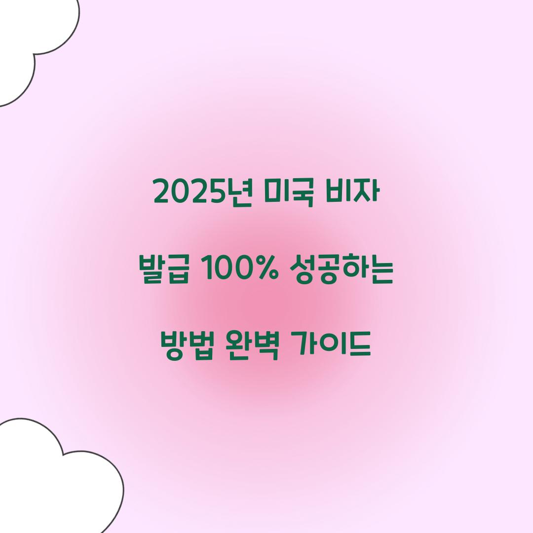 2025년 미국 비자 발급 100% 성공하는 방법