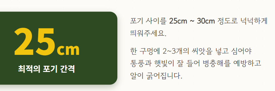 땅콩 심는시기
