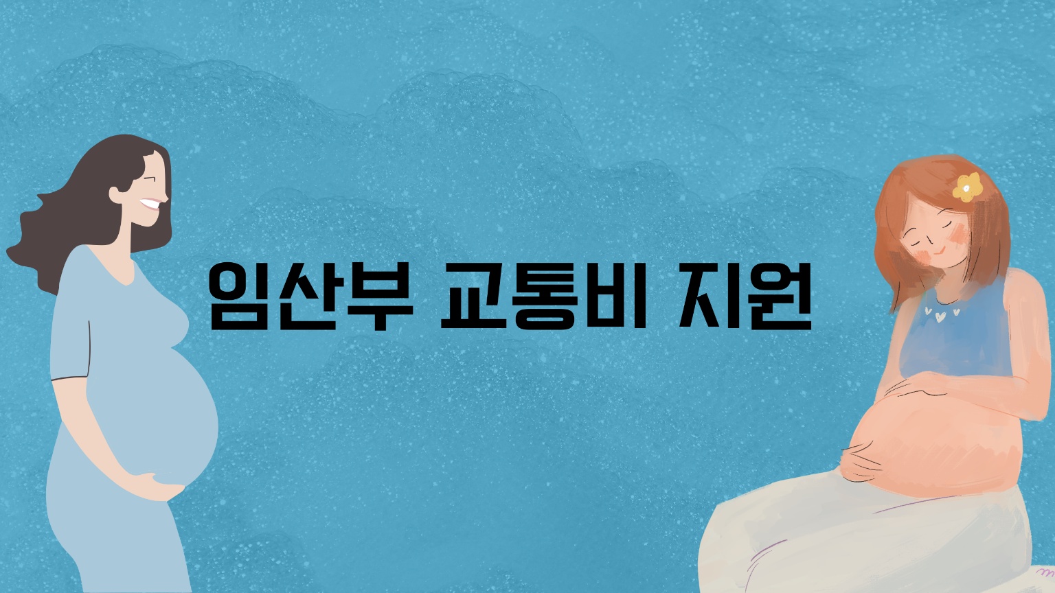 임산부 교통비 지원