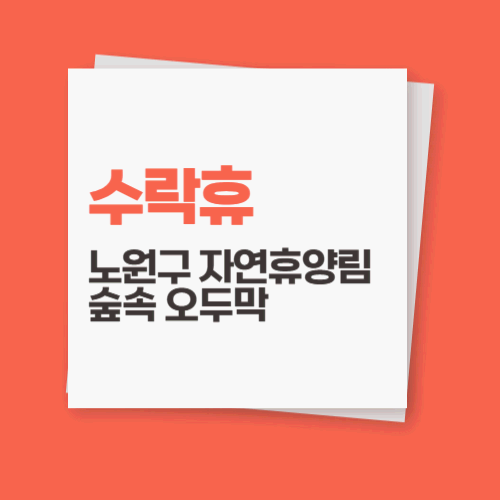 노원구 자연휴양림 완벽 가이드: 숲속 오두막에서 힐링까지 (2025 최신)