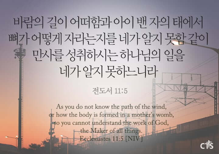전도서 11장