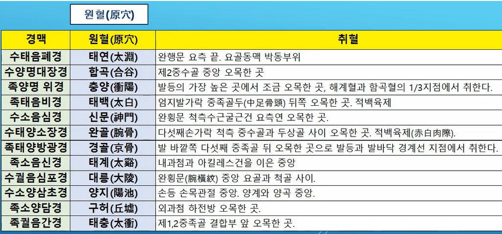 특정혈 - 1)원혈 (각 경의 원혈, 낙혈명을 짝지어 암기하기) 특정혈 - 1)원혈 (각 경의 원혈, 낙혈명을 짝지어 암기하기)
