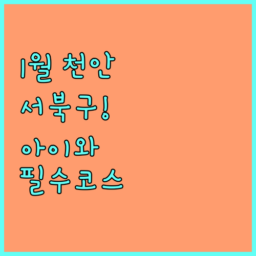 1월 천안 서북구 아이와 함께 가기 ..