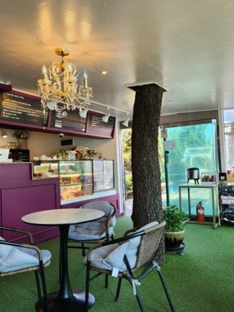 카페-내부에-기존에-살고있는-나무를-살려-그래도두고-천정에-구멍을-뚫고-살려두는-멋있는-장면