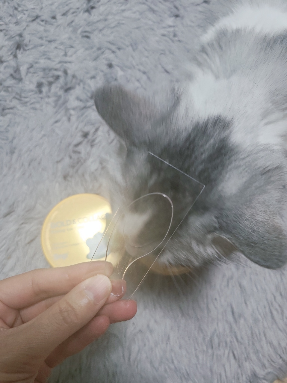 SNP 골드 콜라겐 퍼밍 아이패치 스패츌러